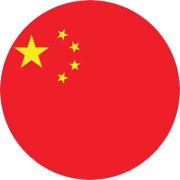 中文 (简体) flag